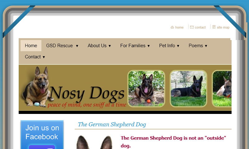 nosydogs.com.jpg