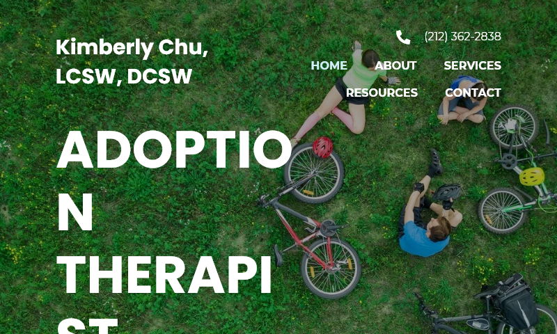 nyadoptiontherapist.com