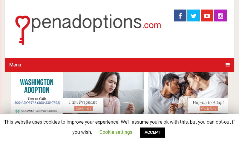 openadoptions.com.jpg