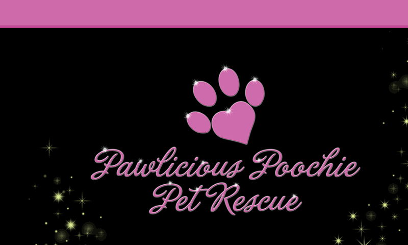 pawliciouspoochie.com
