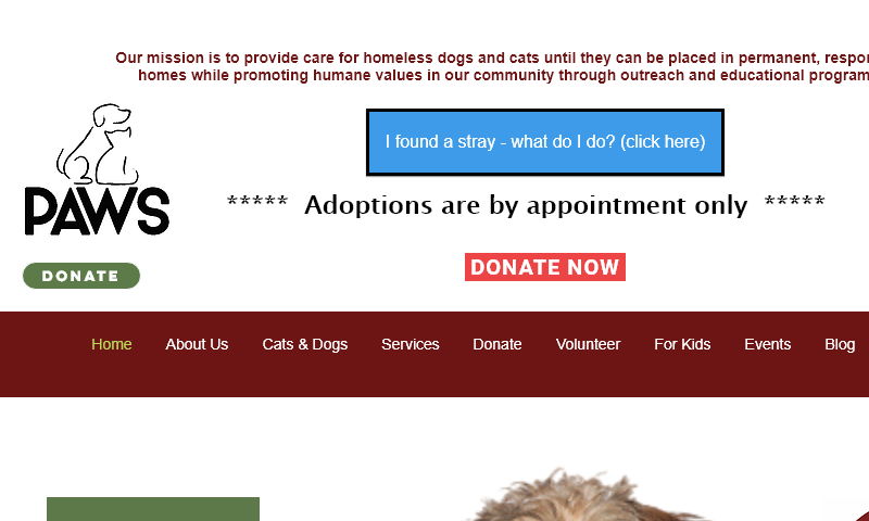 pawsadoption.info