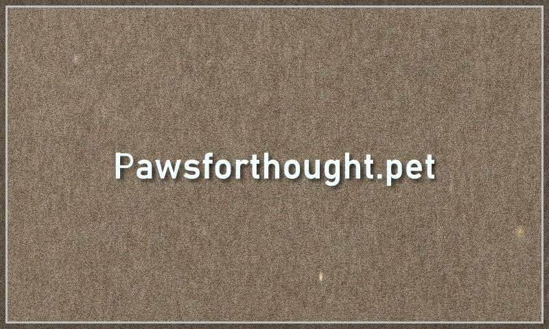 pawsforthought.pet.jpg