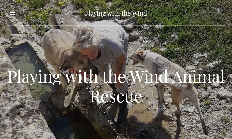 playingwiththewind.org
