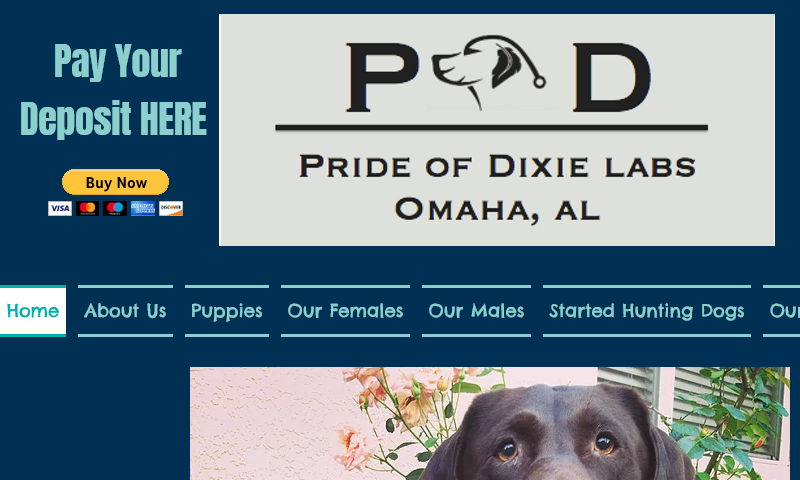 prideofdixielabs.com