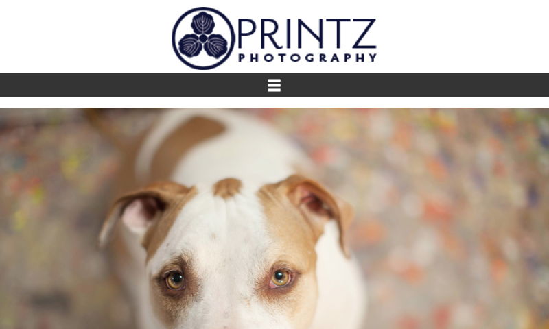 printzphotography.com.jpg