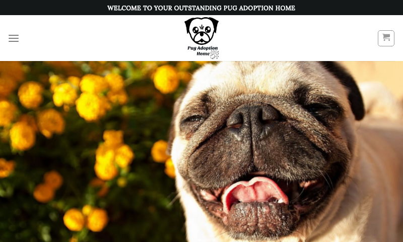pugadoptionhome.com.jpg