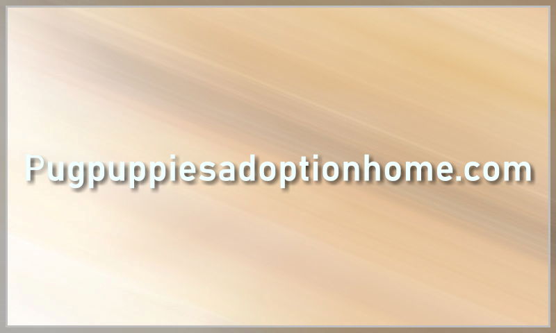 pugpuppiesadoptionhome.com.jpg