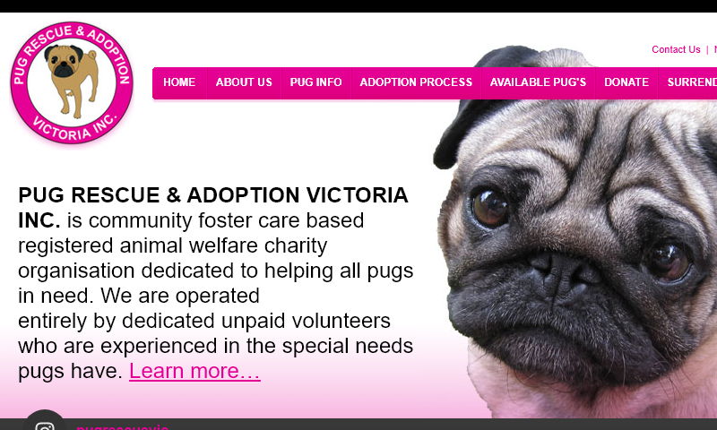 pugrescue.org.au.jpg