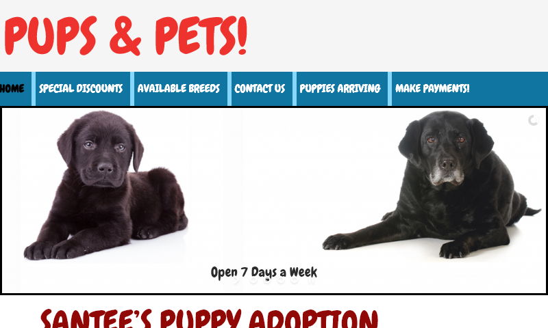 puppywebsitedesign.com.jpg