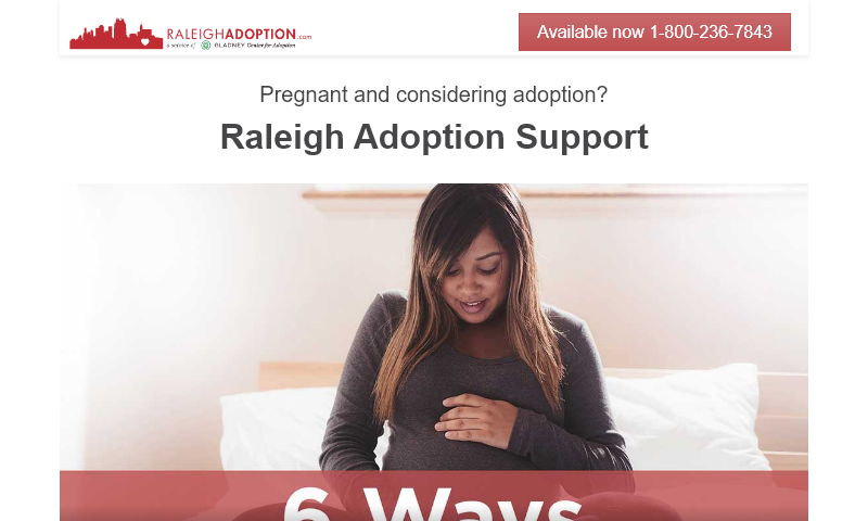 raleighadoption.com.jpg