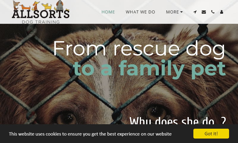 rescue-dog-to-family-pet.co.uk.jpg