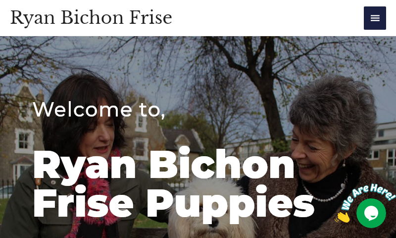 ryanbichonfrise.com.jpg