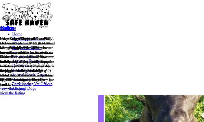 safehavendogs.com