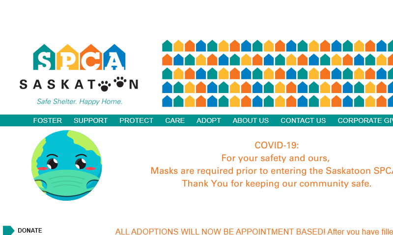 saskatoonhumanesociety.com.jpg