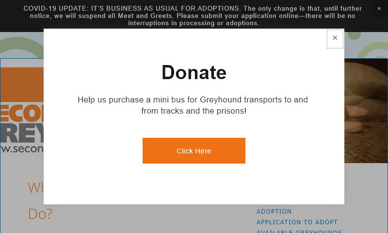 secondchancegreyhounds.org.jpg