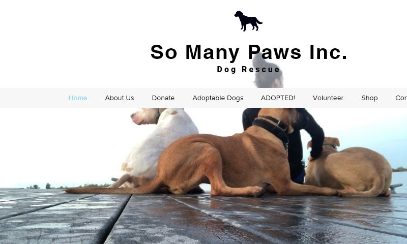 somanypaws.org.jpg
