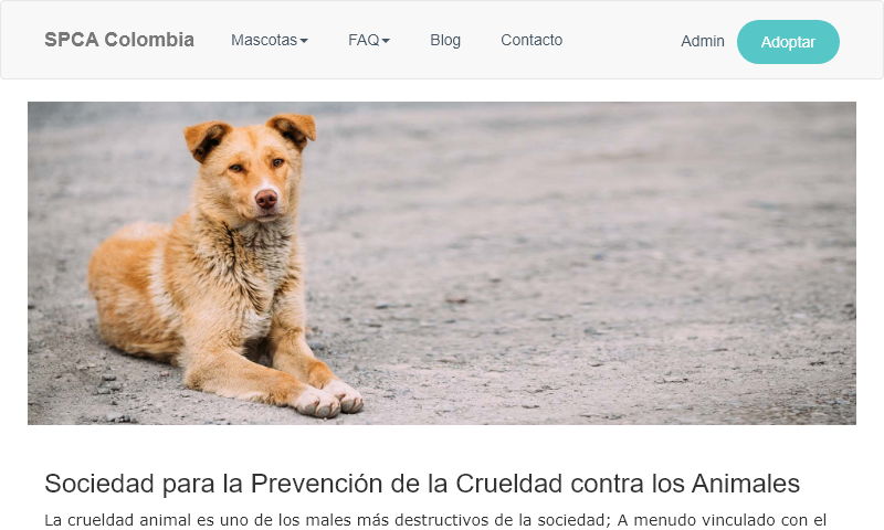 spca-colombia.org.jpg