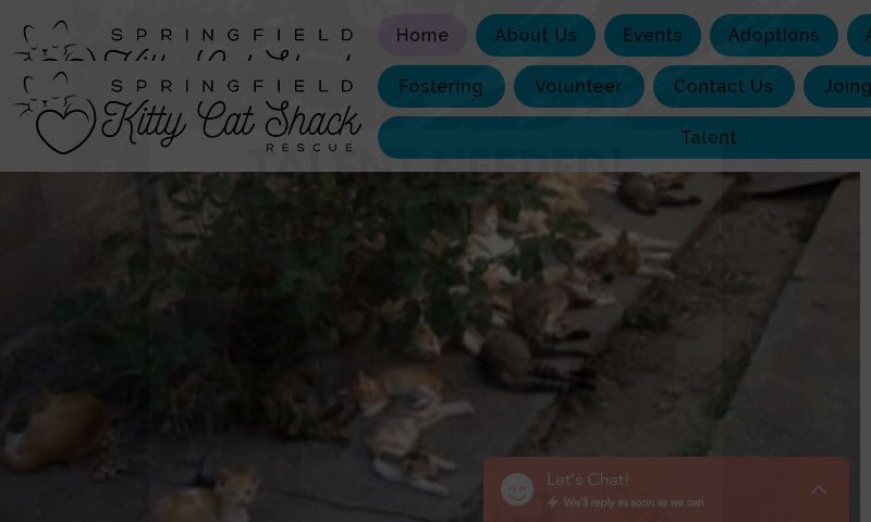 sprkittycatshack.com