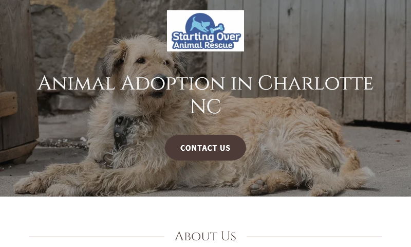 startingoveranimalrescue.net