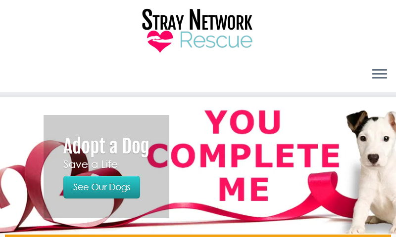 straynetwork.org