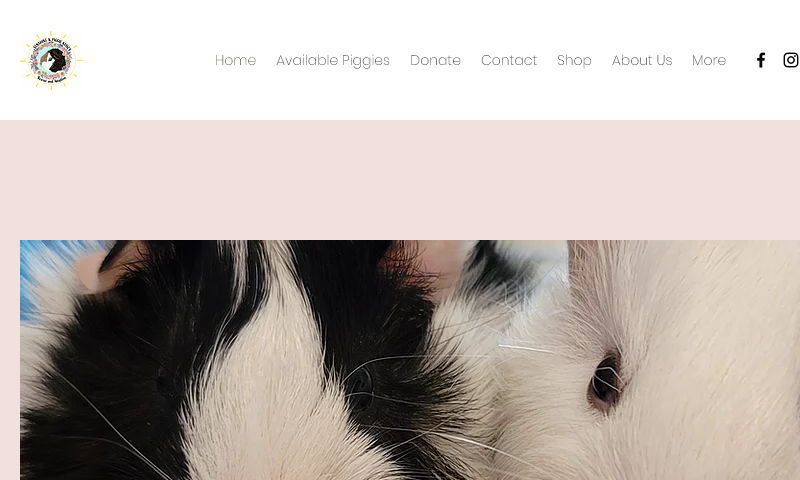 sunshineandpiggiekisses.com