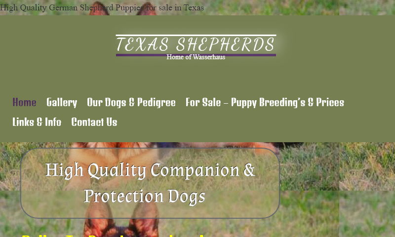 texasshepherds.com.jpg