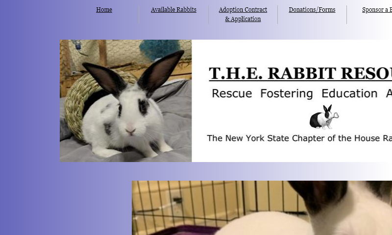 therabbitresource.org