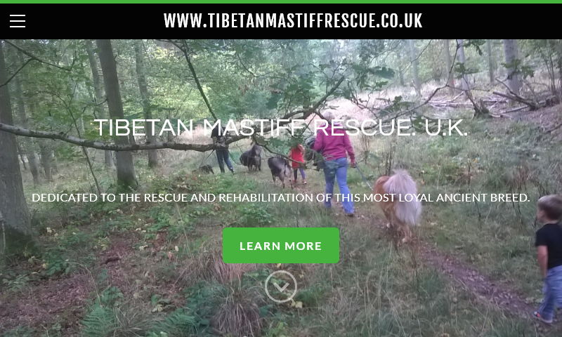 www.tibetanmastiffrescue.co.uk