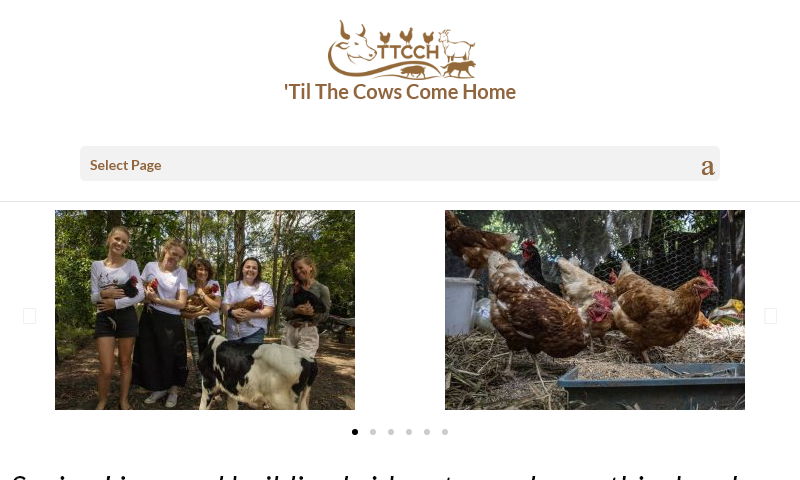 tilthecowscomehome.org.jpg