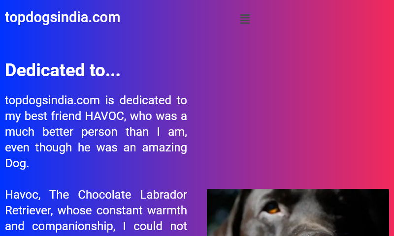 topdogsindia.com