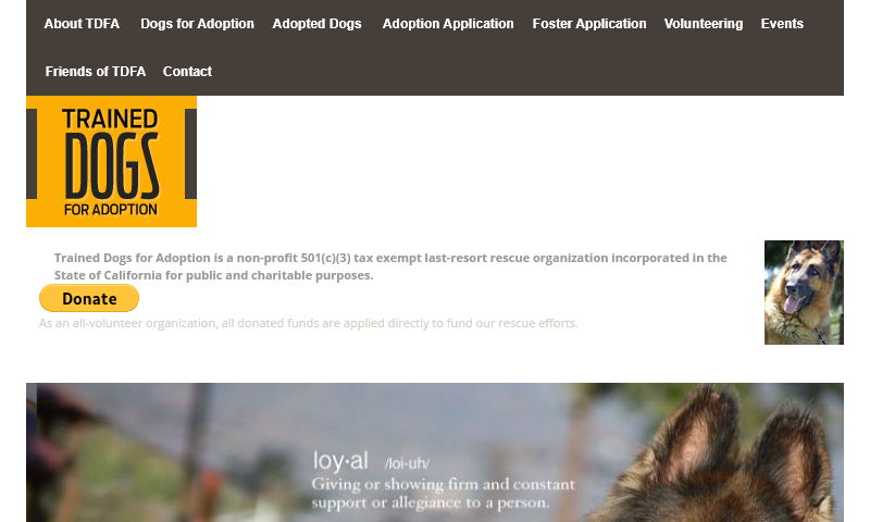 traineddogsforadoption.org.jpg
