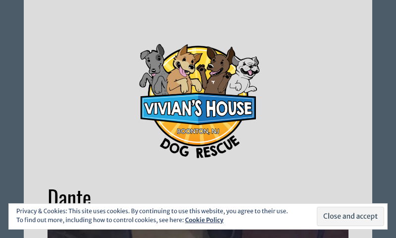 vivianshouse.org.jpg