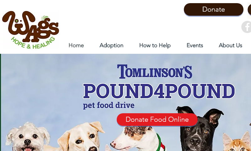 wagshopeandhealing.com