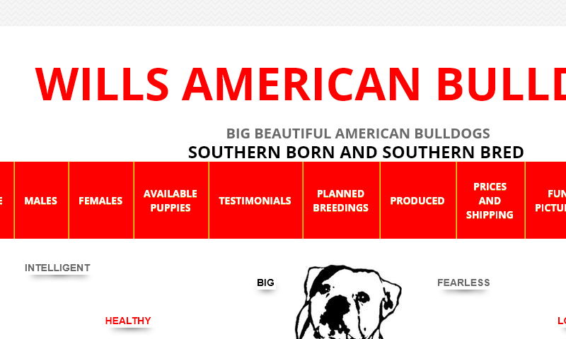 willsamericanbulldogs.com.jpg