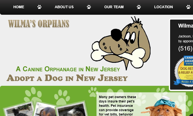 wilmasorphans.com.jpg
