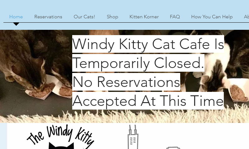 windykittychicago.com.jpg