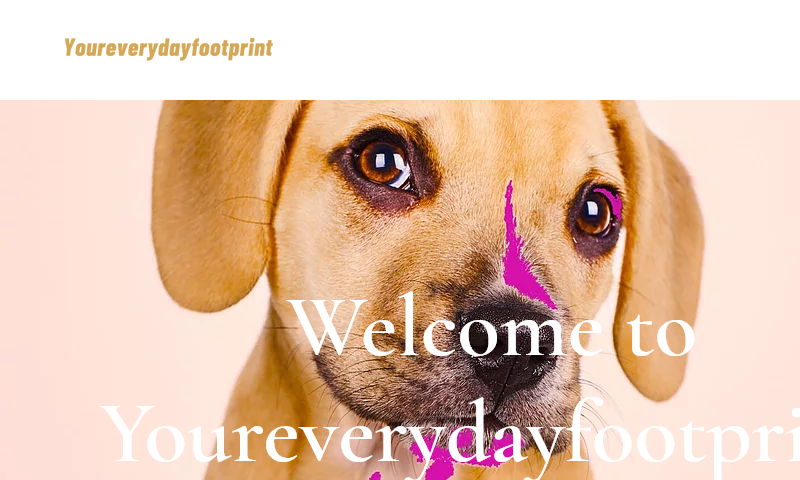 youreverydayfootprint.com